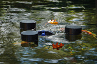 Bladeren verwijderen uit de vijver in de herfst